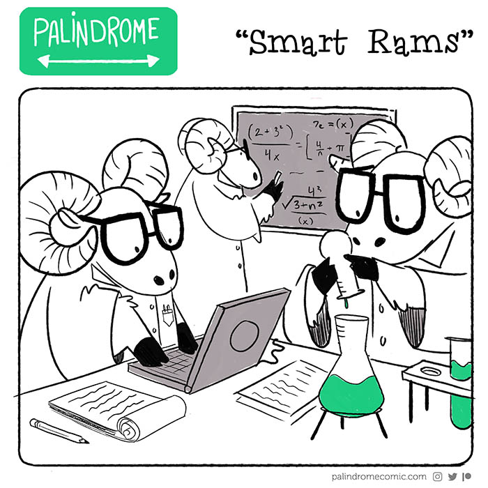 Smart Rams