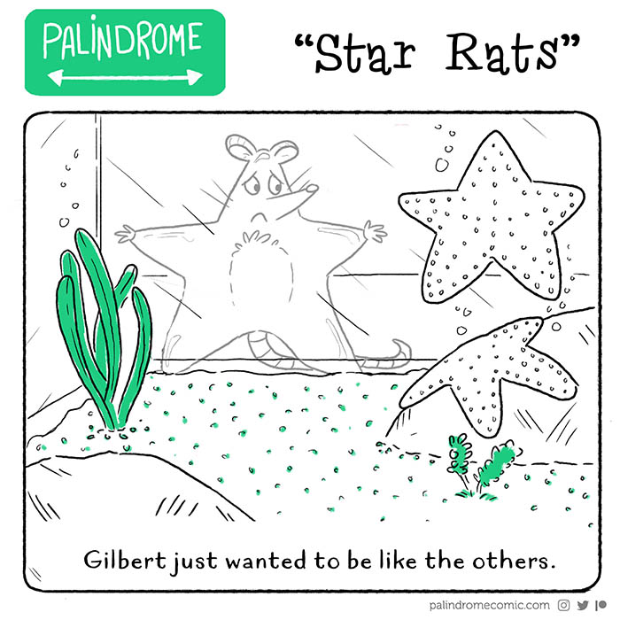 Star Rats